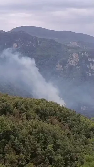HATAY'DA GÜRLEVİK YAYLASI MEVKİİNDE ORMANLIK ALANDA ÇIKAN YANGINA EKİPLERİN MÜDAHALESİ BAŞLADI.