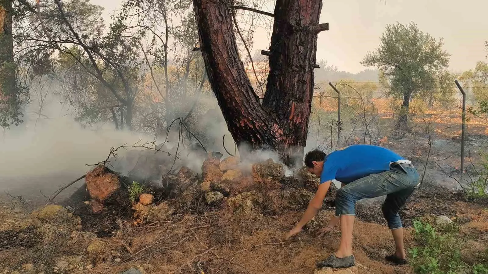 ANTALYA'NIN AKSU İLÇESİNDE HAVADAN VE KARADAN MÜDAHALEDE BULUNULAN ORMAN YANGINDA ŞUANA KADAR TOPLAMDA 254 HANE BOŞALTILDIĞI, 720 KİŞİNİN DE TAHLİYE EDİLDİĞİ ÖĞRENİLDİ.