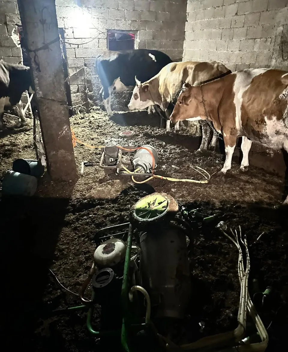 NEVŞEHİR’İN DERİNKUYU İLÇESİNDE AHIRDA SÜT SAĞMA MAKİNESİYLE İNEK SAĞDIĞI SIRADA ELEKTRİK AKIMINA KAPILAN 58 YAŞINDAKİ KADIN, KALDIRILDIĞI HASTANEDE HAYATINI KAYBETTİ.