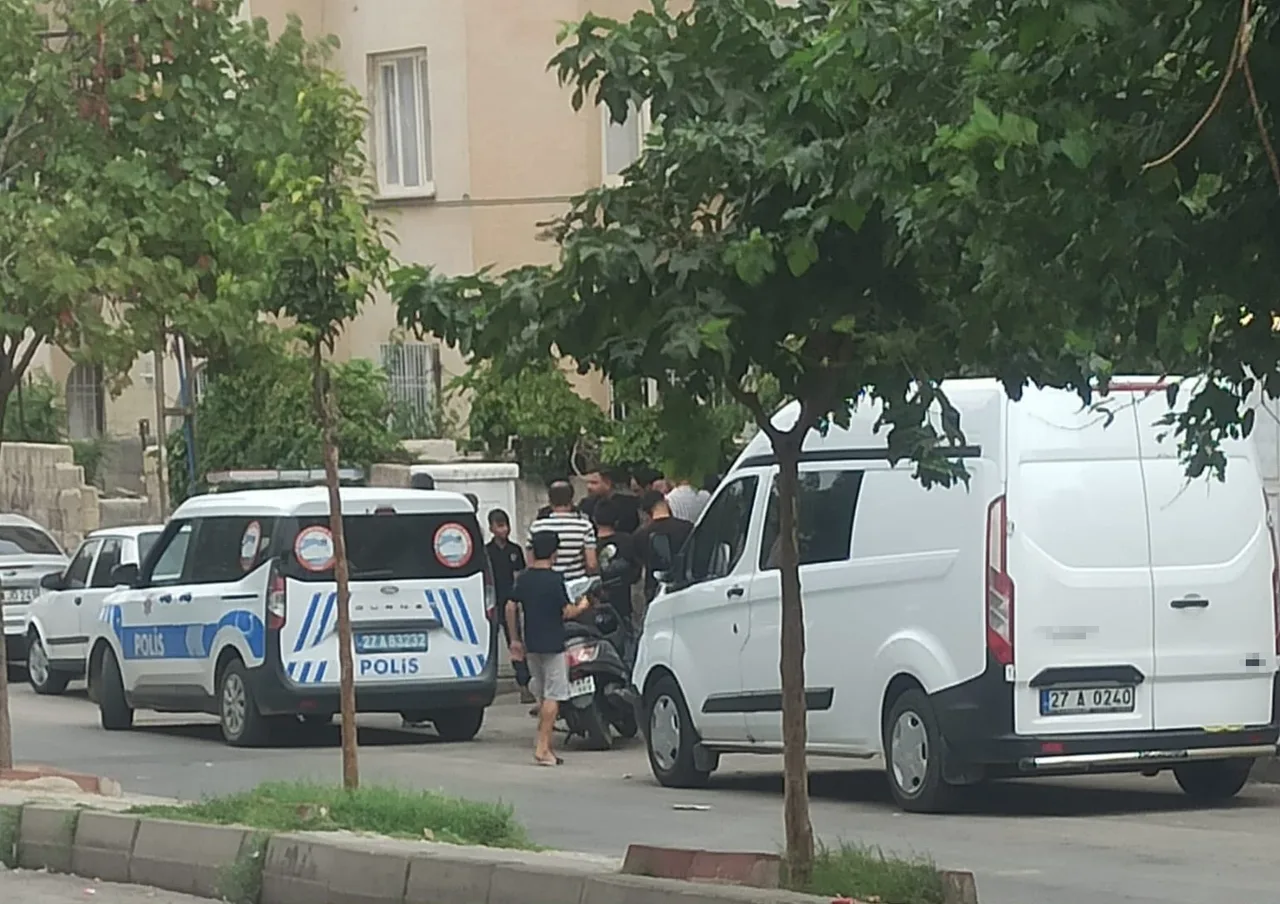 GAZİANTEP'İN NİZİP İLÇESİNDE ANNESİYLE TARTIŞAN ŞAHSIN RASTGELE HAVAYA ATEŞLEDİĞİ SİLAHTAN ÇIKAN MERMİNİN İSABET ETTİĞİ ÜST KATTAKİ KOMŞUSU KADIN AĞIR YARALANDI.
