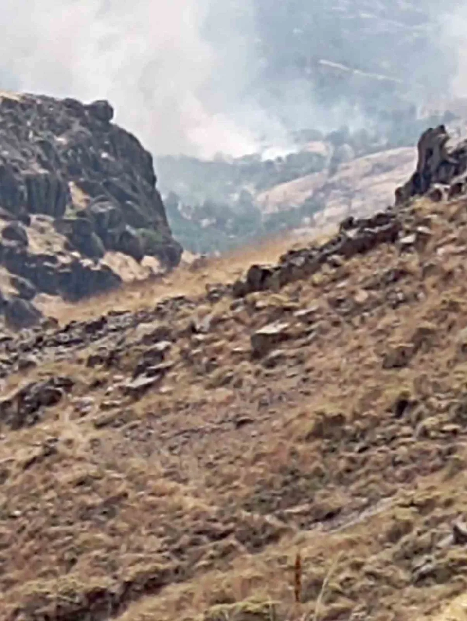 TUNCELİ’NİN NAZIMİYE İLÇESİNDE, BOSTANLI İLE DALLIBAHÇE KÖYLERİ ARASINDA BULUNAN ÇAKARAN VADİSİ’NDEKİ ORMANLIK ALANDA ÇIKAN YANGINA HAVADAN VE KARADAN MÜDAHALE EDİLİYOR.