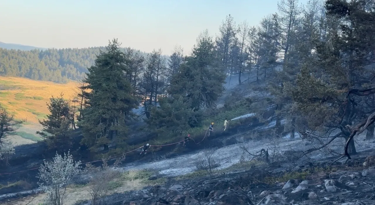 ÇANKIRI VE ANKARA SINIRINDA BULUNAN ORMANLIK ALANDA ÇIKAN YANGIN, 60 PERSONEL 14 ARAÇ VE 1 HELİKOPTERİN MÜDAHALESİYLE SÖNDÜRÜLDÜ.