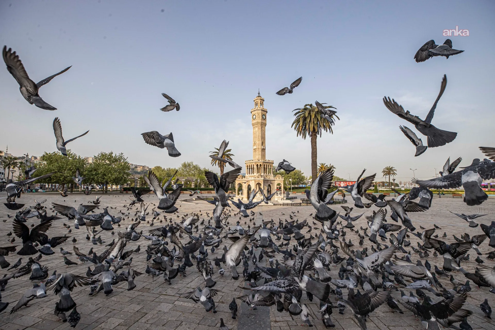 İzmir’in iklim deneyimi Avrupa’ya taşınacak — fotoğraf 2