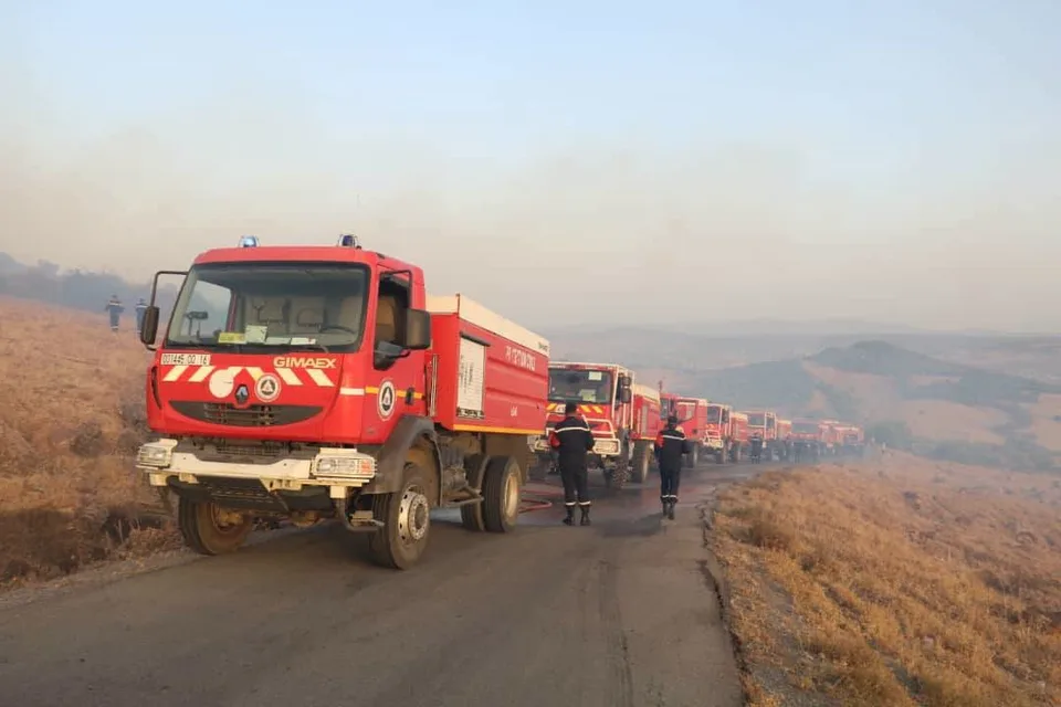 CEZAYİR SİVİL SAVUNMA KURUMU, ÜLKENİN 6 FARKLI BÖLGESİNDE SON 24 SAATTE 72 ORMAN YANGINI ÇIKTIĞINI VE EKİPLERİN MÜDAHALESİ DOĞRULTUSUNDA YANGINLARDAN 64’ÜNÜN SÖNDÜRÜLDÜĞÜNÜ AÇIKLADI.