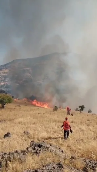 TUNCELİ’NİN NAZIMİYE İLÇESİNDE, BOSTANLI İLE DALLIBAHÇE KÖYLERİ ARASINDA BULUNAN ÇAKARAN VADİSİ’NDEKİ ORMANLIK ALANDA ÇIKAN YANGINA HAVADAN VE KARADAN MÜDAHALE EDİLİYOR.