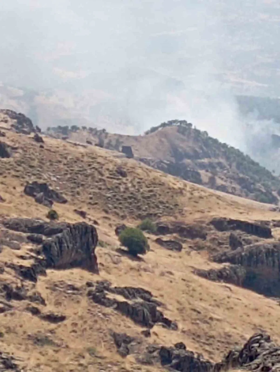 TUNCELİ’NİN NAZIMİYE İLÇESİNDE, BOSTANLI İLE DALLIBAHÇE KÖYLERİ ARASINDA BULUNAN ÇAKARAN VADİSİ’NDEKİ ORMANLIK ALANDA ÇIKAN YANGINA HAVADAN VE KARADAN MÜDAHALE EDİLİYOR.