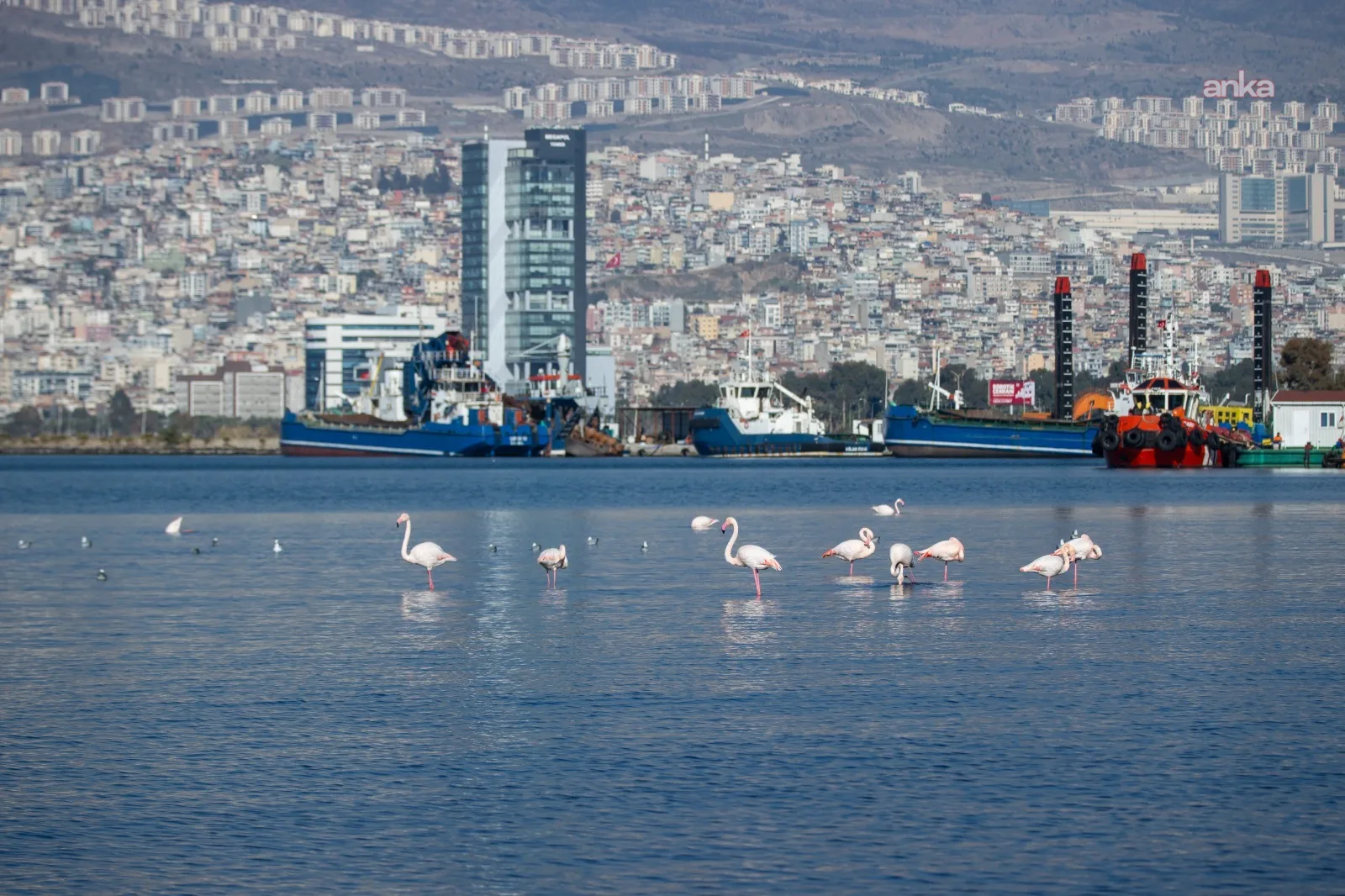 İzmir’in iklim deneyimi Avrupa’ya taşınacak — fotoğraf 3